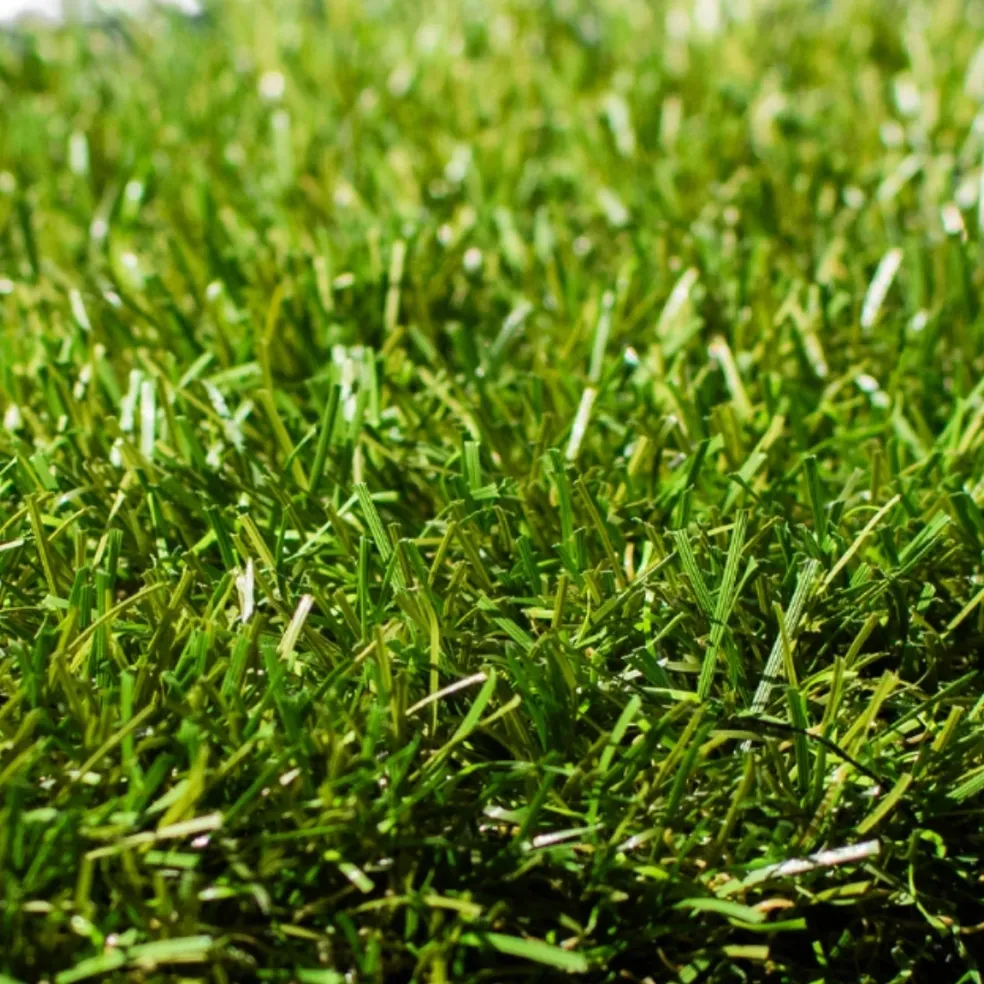 High-End Turf Deluxe