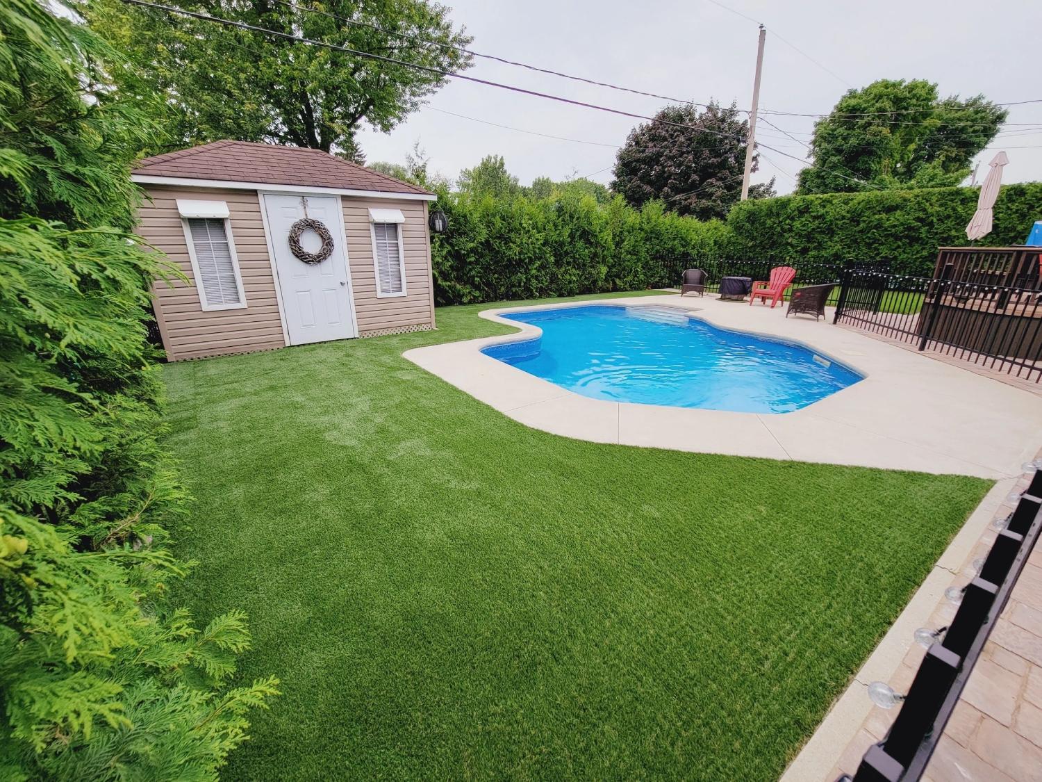 Residential backyard with swimming pool, artificial turf landscaping, poolside seating, and garden shed surrounded by privacy hedges