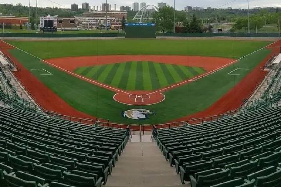 baseball-field-artificial-turf-stadium-vie