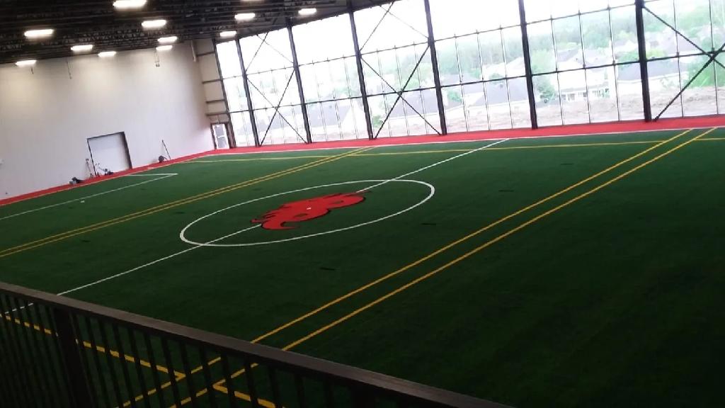 Large indoor multi-sport synthetic turf arena with center logo, marked playing lines, bright overhead lighting, and expansive glass wall panels.