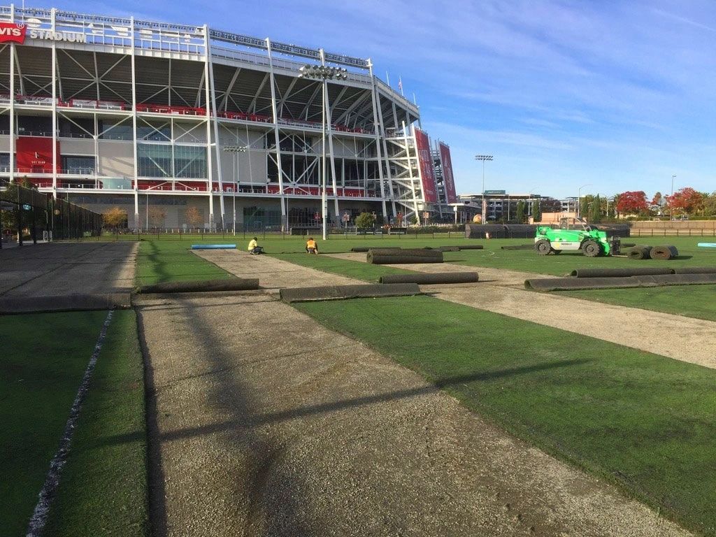 turf-removal