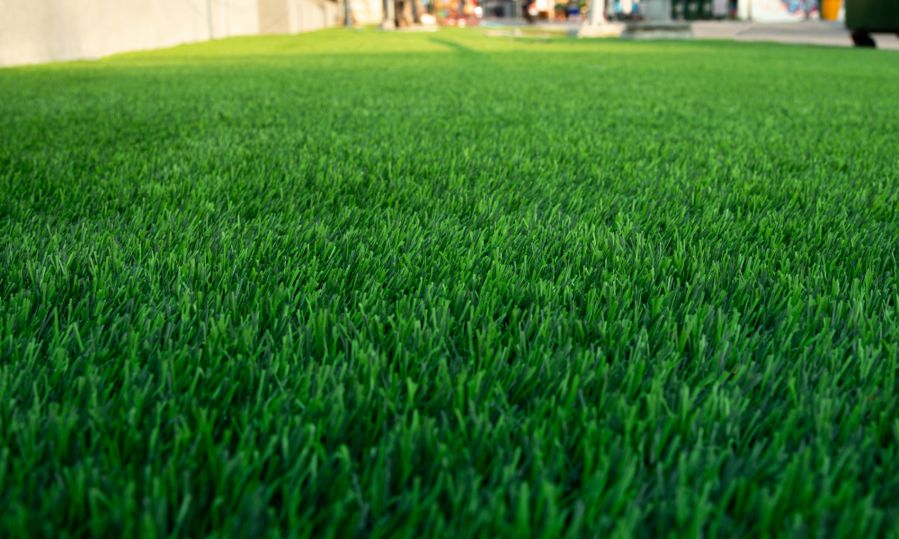 Artificial Turf, Calgary, Alberta